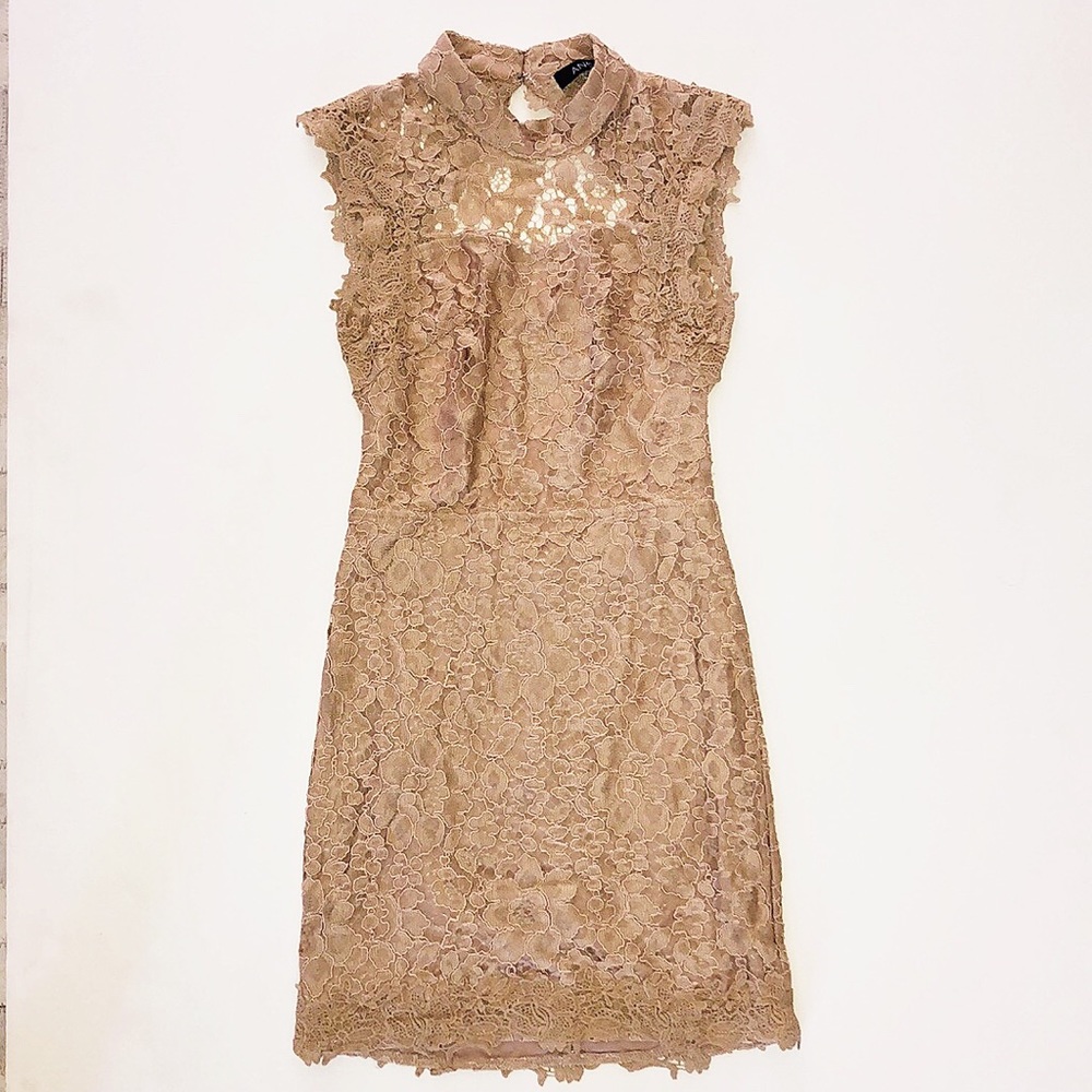 Nude Lace Dress